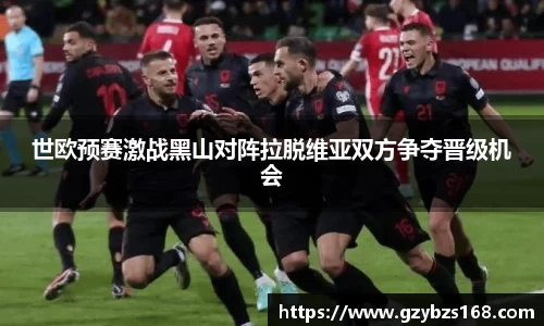 zoty中欧