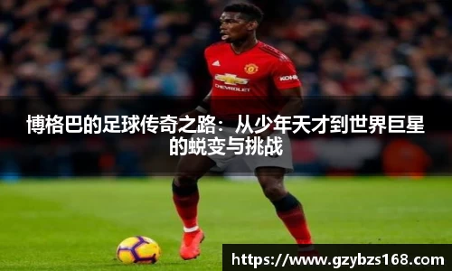 zoty中欧官网