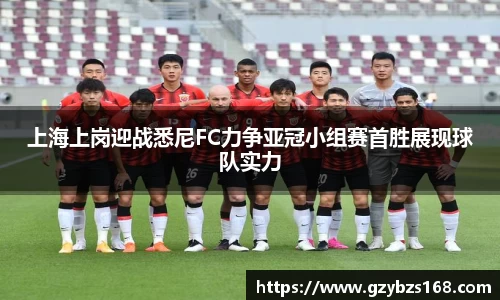 上海上岗迎战悉尼FC力争亚冠小组赛首胜展现球队实力