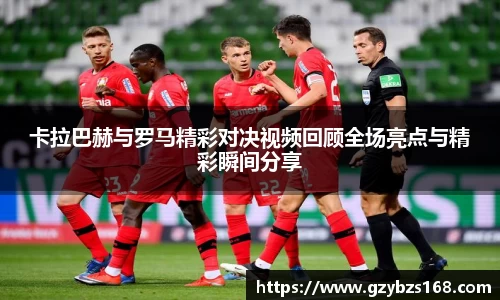 zoty中欧官方网站