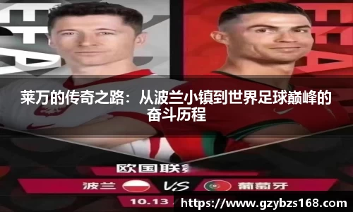 zoty中欧官网