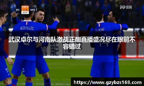 zoty中欧官网