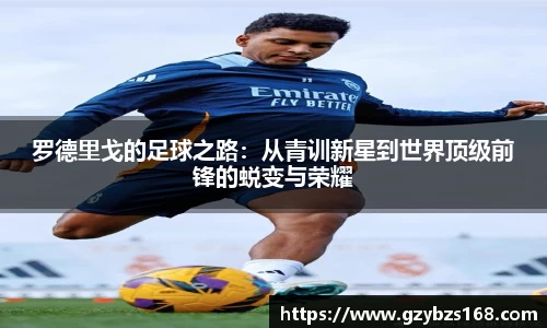 zoty中欧官方网站